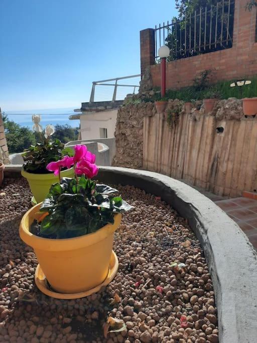 Torre Del Meridiano Casa Vacanze Centrale Termoli Dış mekan fotoğraf